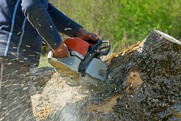 Best Lawn Pest Prevention  in Liberty, UT